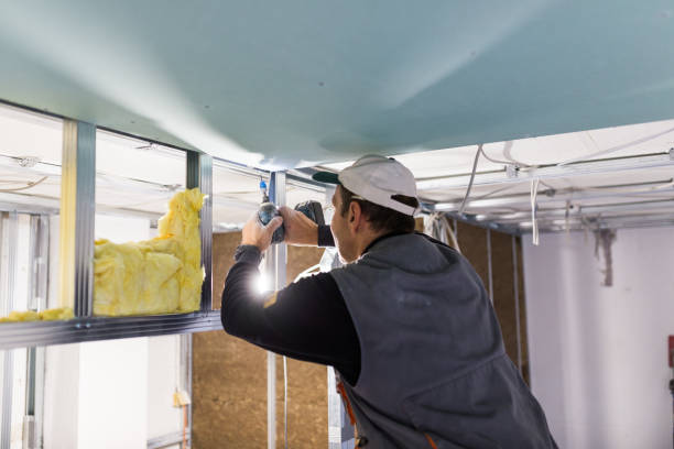 Best Cellulose Insulation in Mountlake Terrace, WA