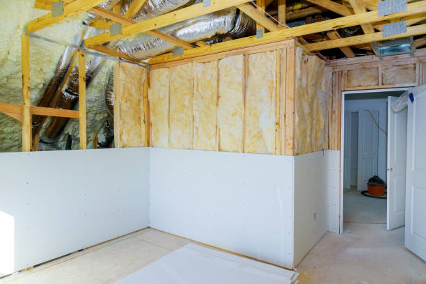 Best Insulation Maintenance and Repair in Mountlake Terrace, WA