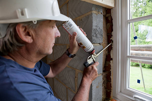Best Eco-Friendly Insulation in Mountlake Terrace, WA